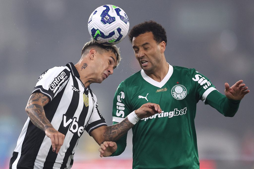 botafogo palmeiras mateo ponte