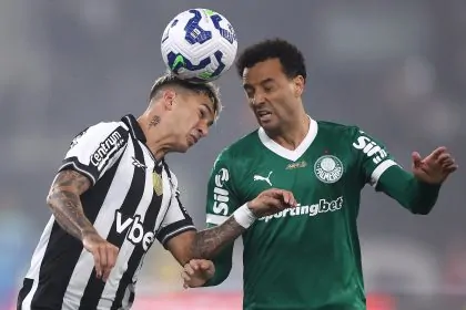 botafogo palmeiras mateo ponte