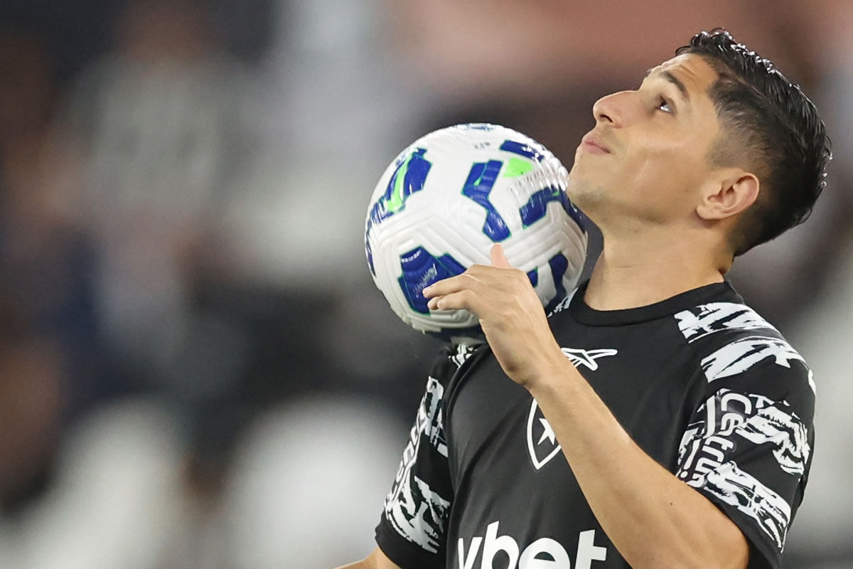 botafogo palmeiras savarino