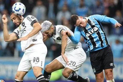 gremio botafogo