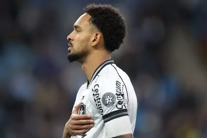 gremio botafogo vitinho