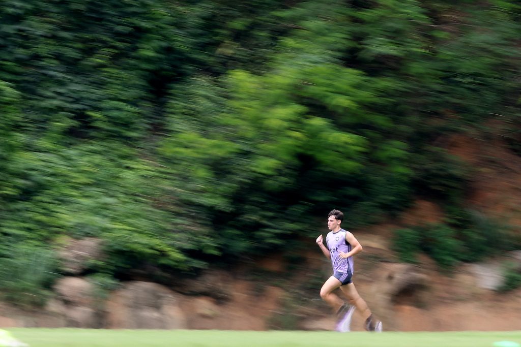 alvaro montoro treino botafogo