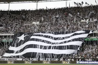 botafogo cuiaba torcida
