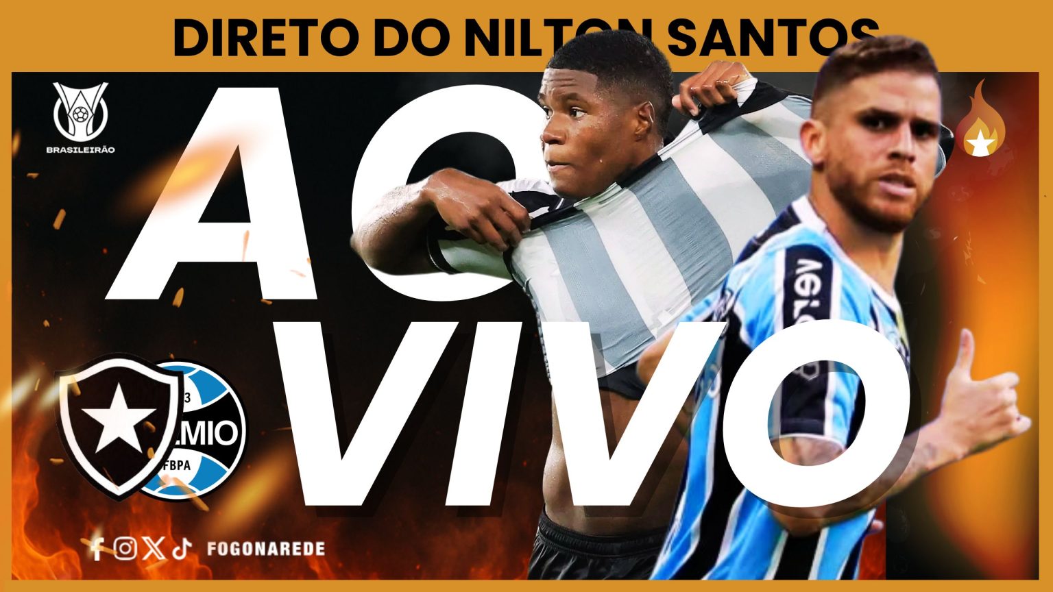 botafogo gremio ao vivo