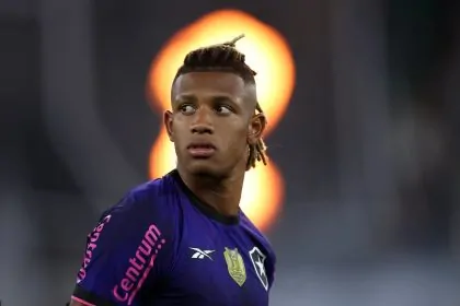 botafogo gremio danilo detalhe