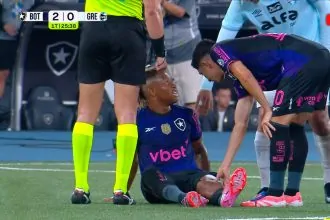botafogo gremio danilo lesao