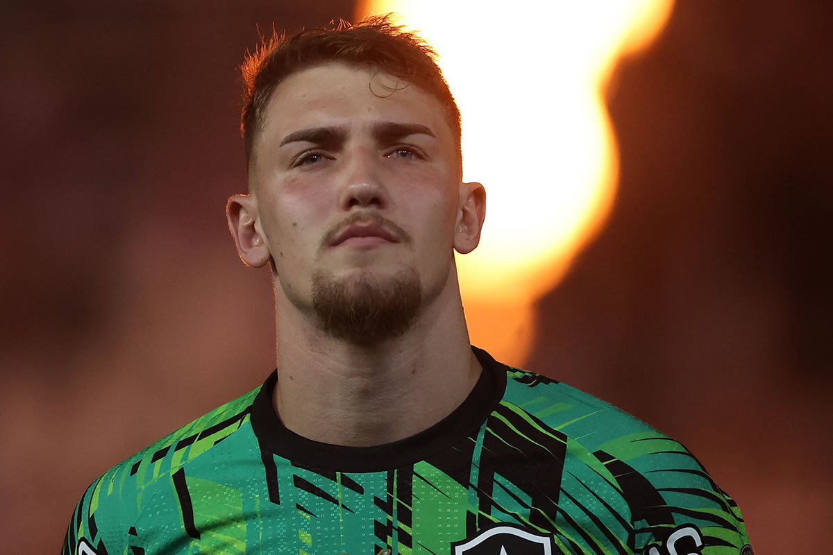 botafogo gremio leo linck