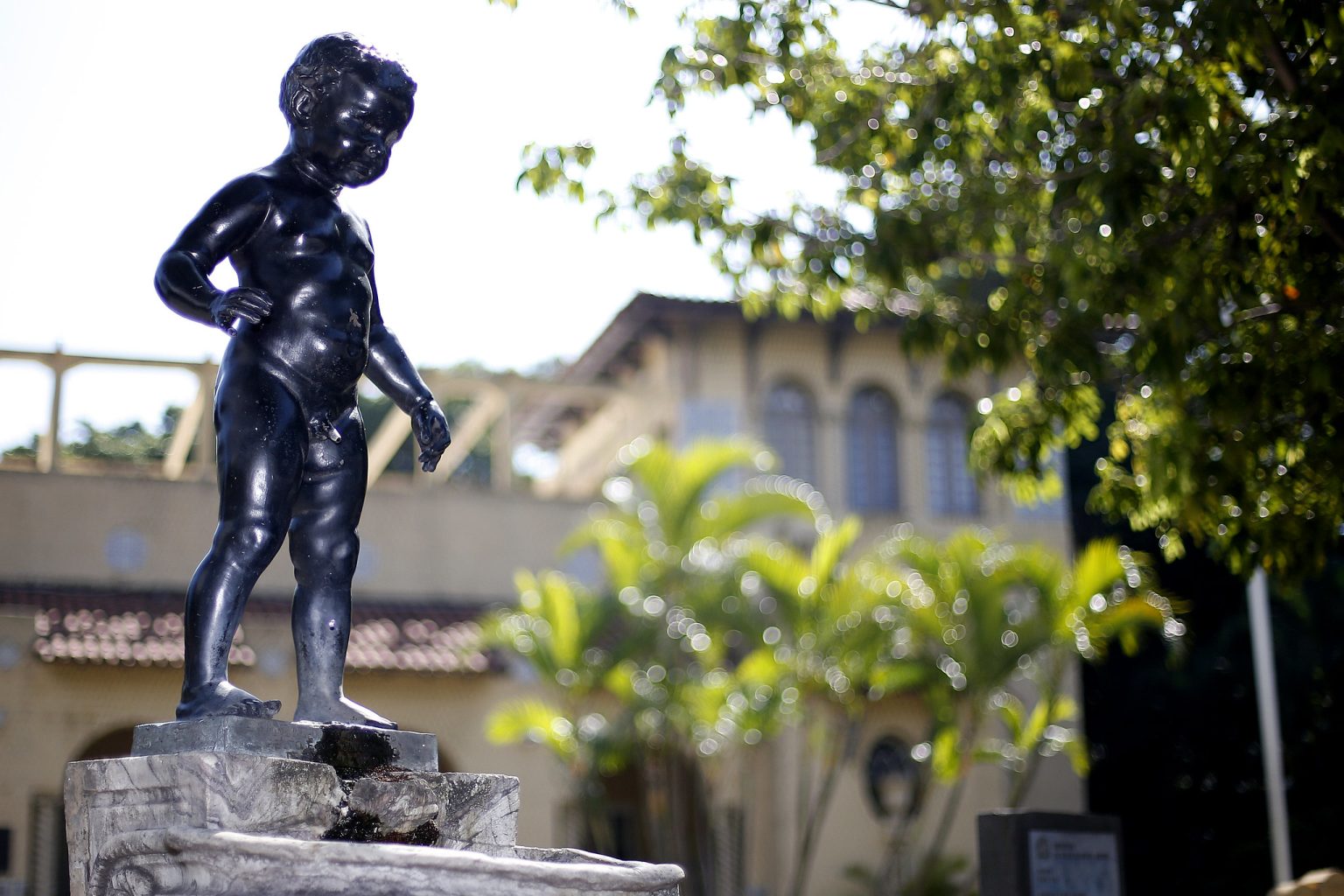 botafogo manequinho sede general severiano generica