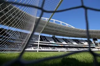 botafogo nilton santos generica 3