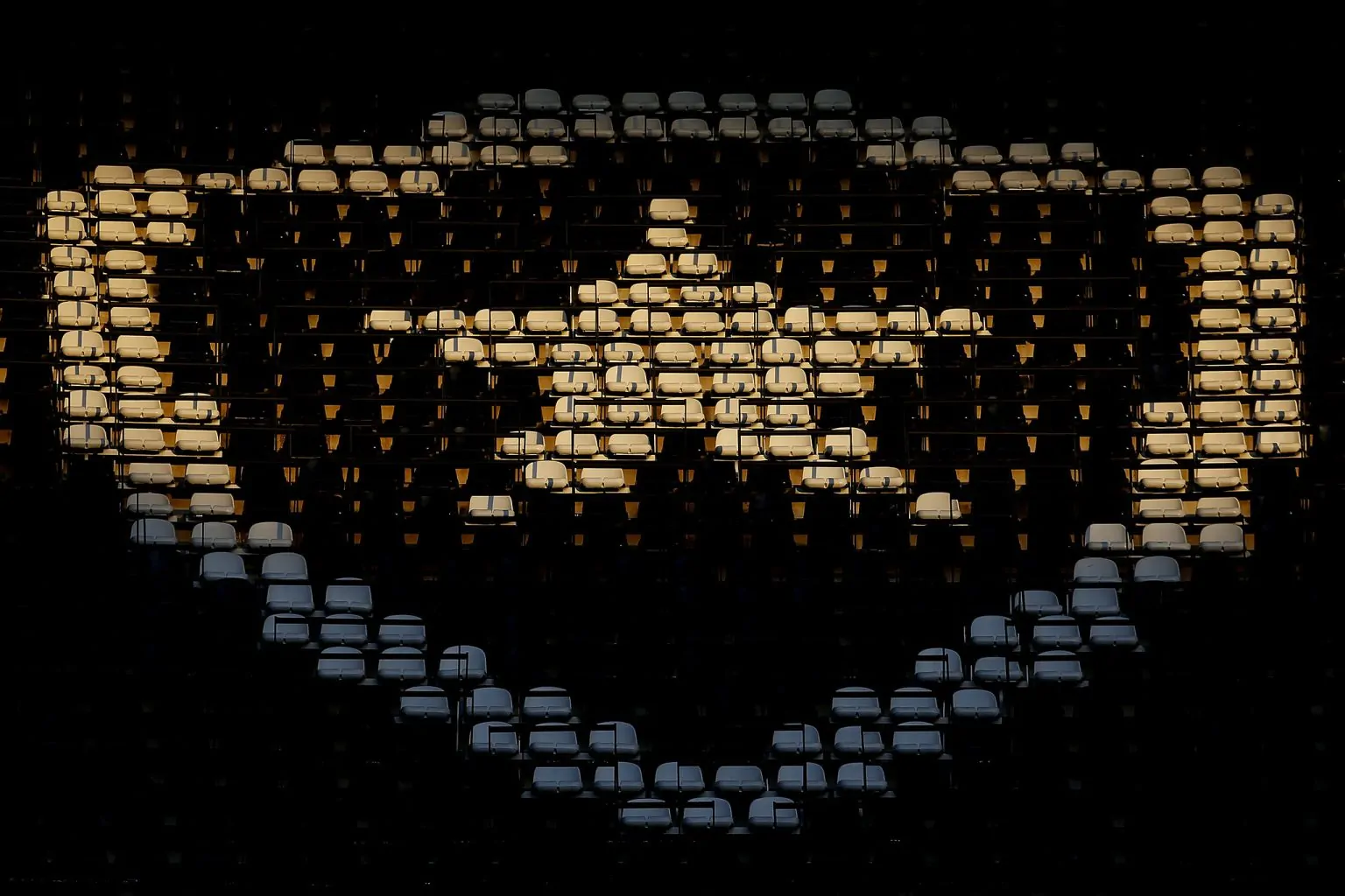 botafogo nilton santos generica 4