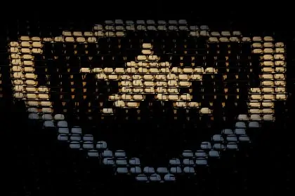 botafogo nilton santos generica 4