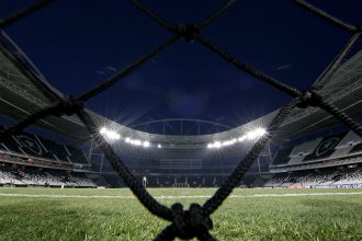 botafogo nilton santos generica 5