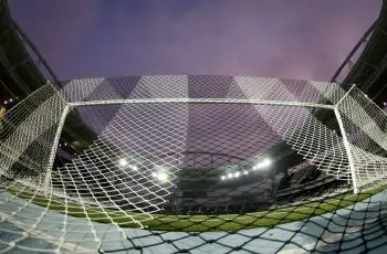 botafogo nilton santos generica 9