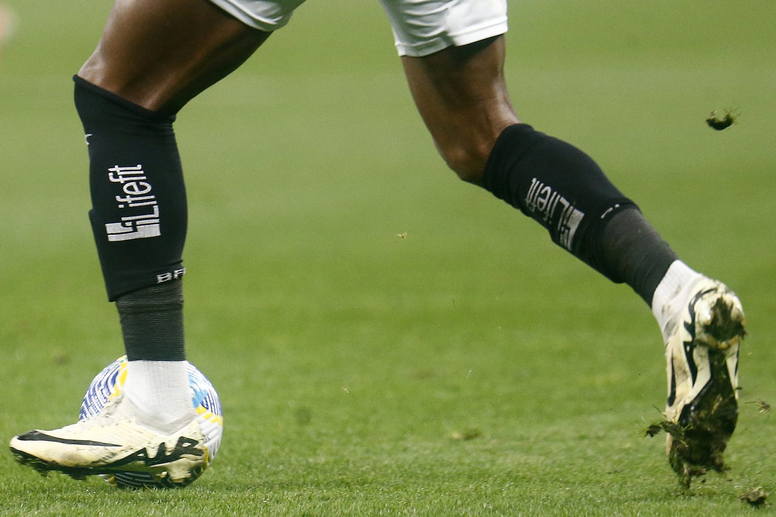 corinthians botafogo generica