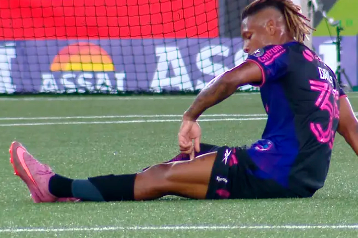 danilo lesao botafogo gremio