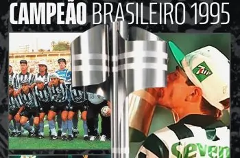 botafogo campeao brasileiro 1995