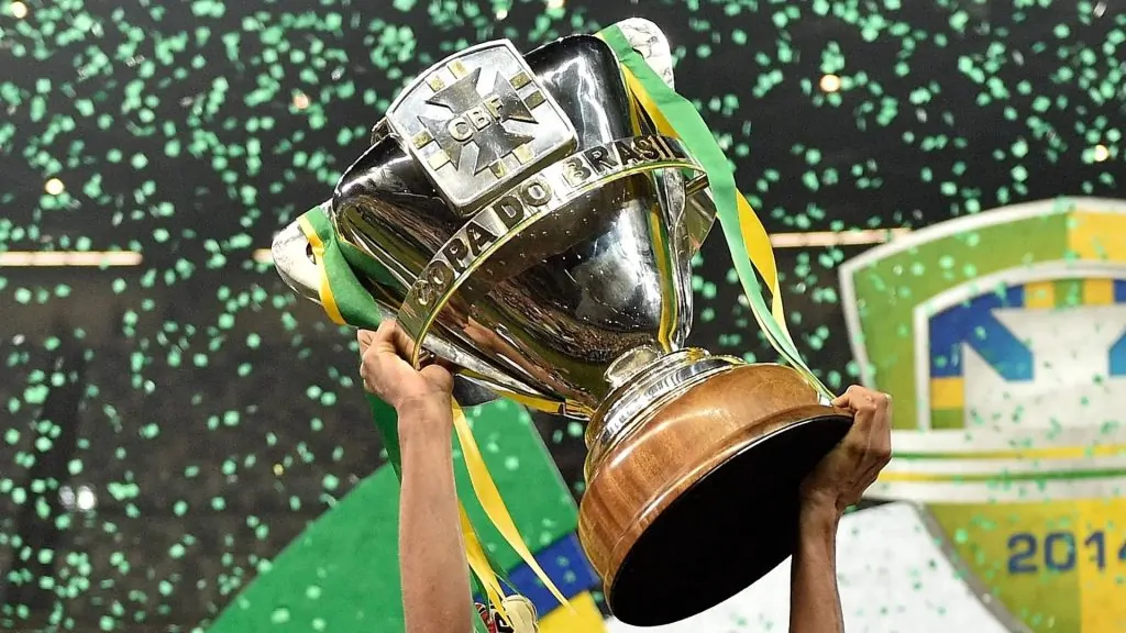 botafogo copa do brasil libertadores