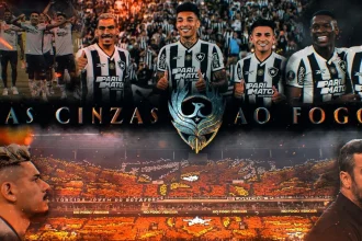 botafogo das cinzas ao fogo
