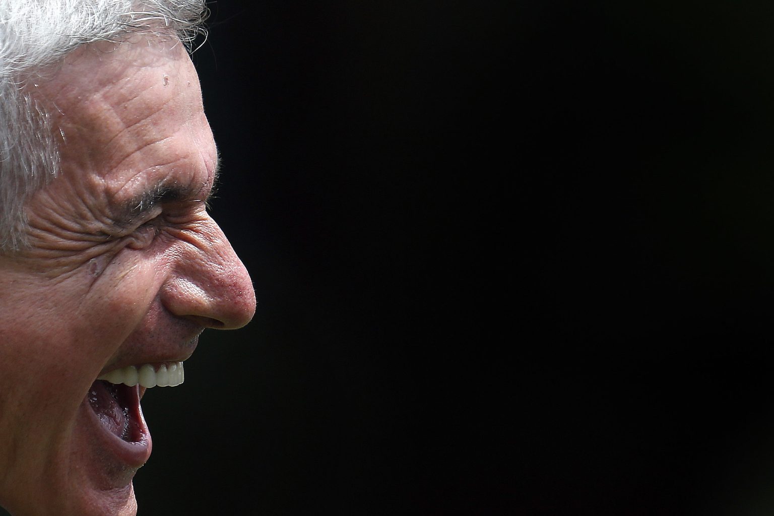 botafogo gremio luis castro