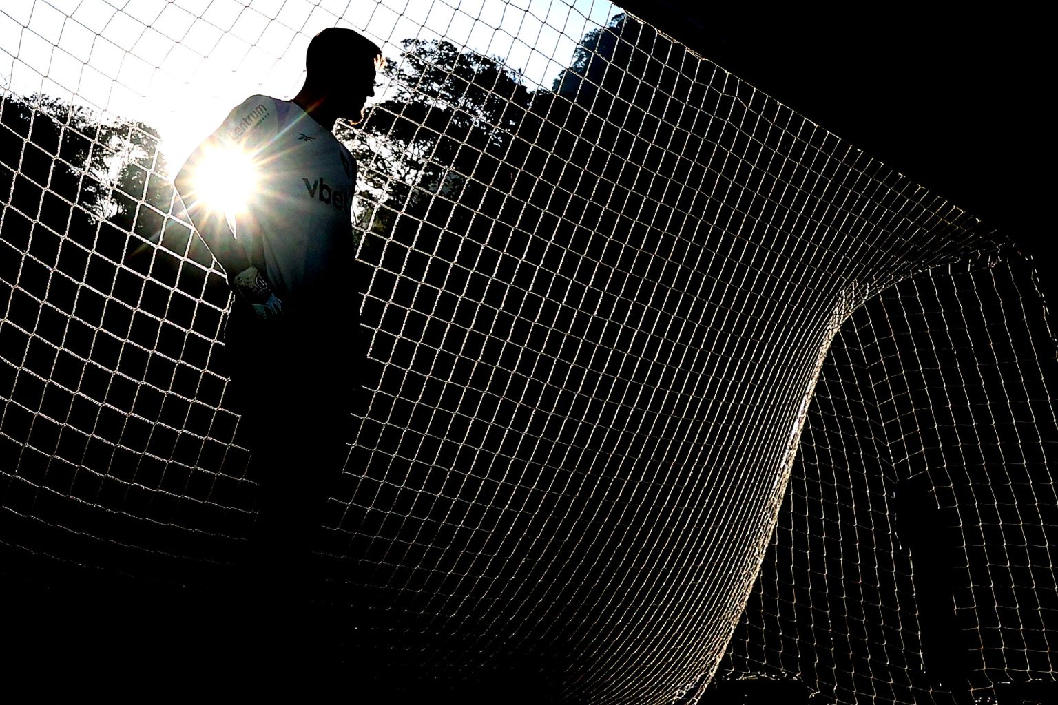 botafogo leo linck goleiro generica silhueta