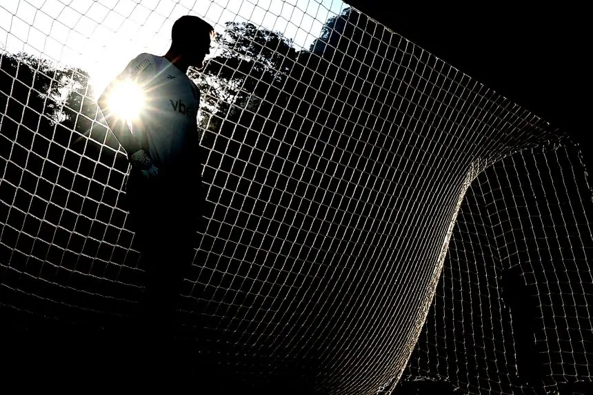 botafogo leo linck goleiro generica silhueta