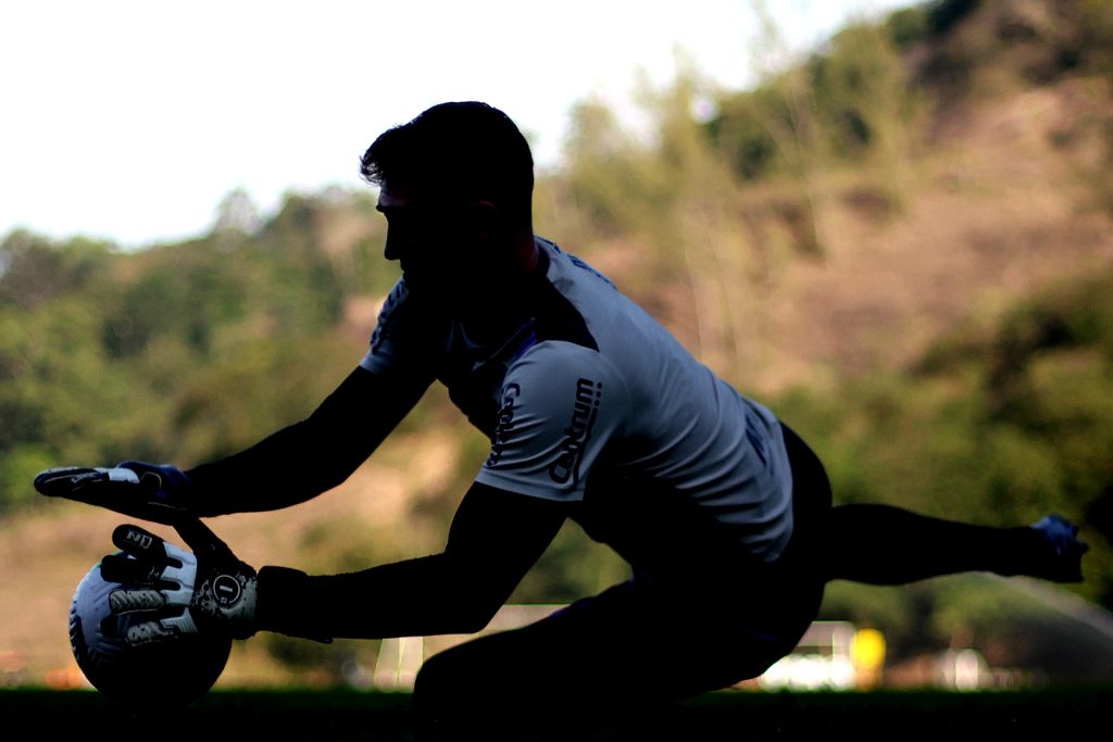 botafogo leo linck goleiro silhueta