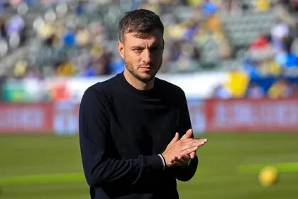 botafogo martin anselmi