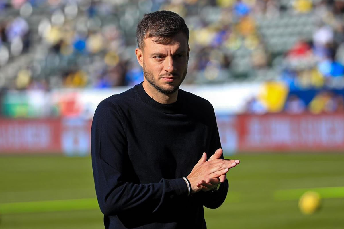 botafogo martin anselmi