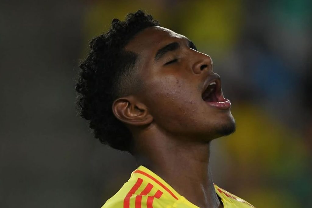 botafogo miguel agamez junior barranquilla 2