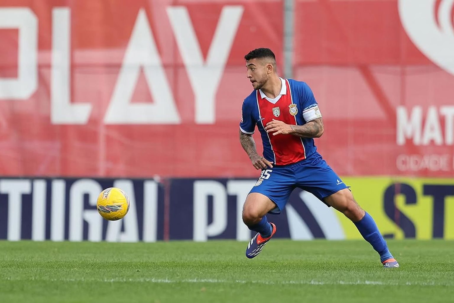 botafogo pedro bicalho Qarabag