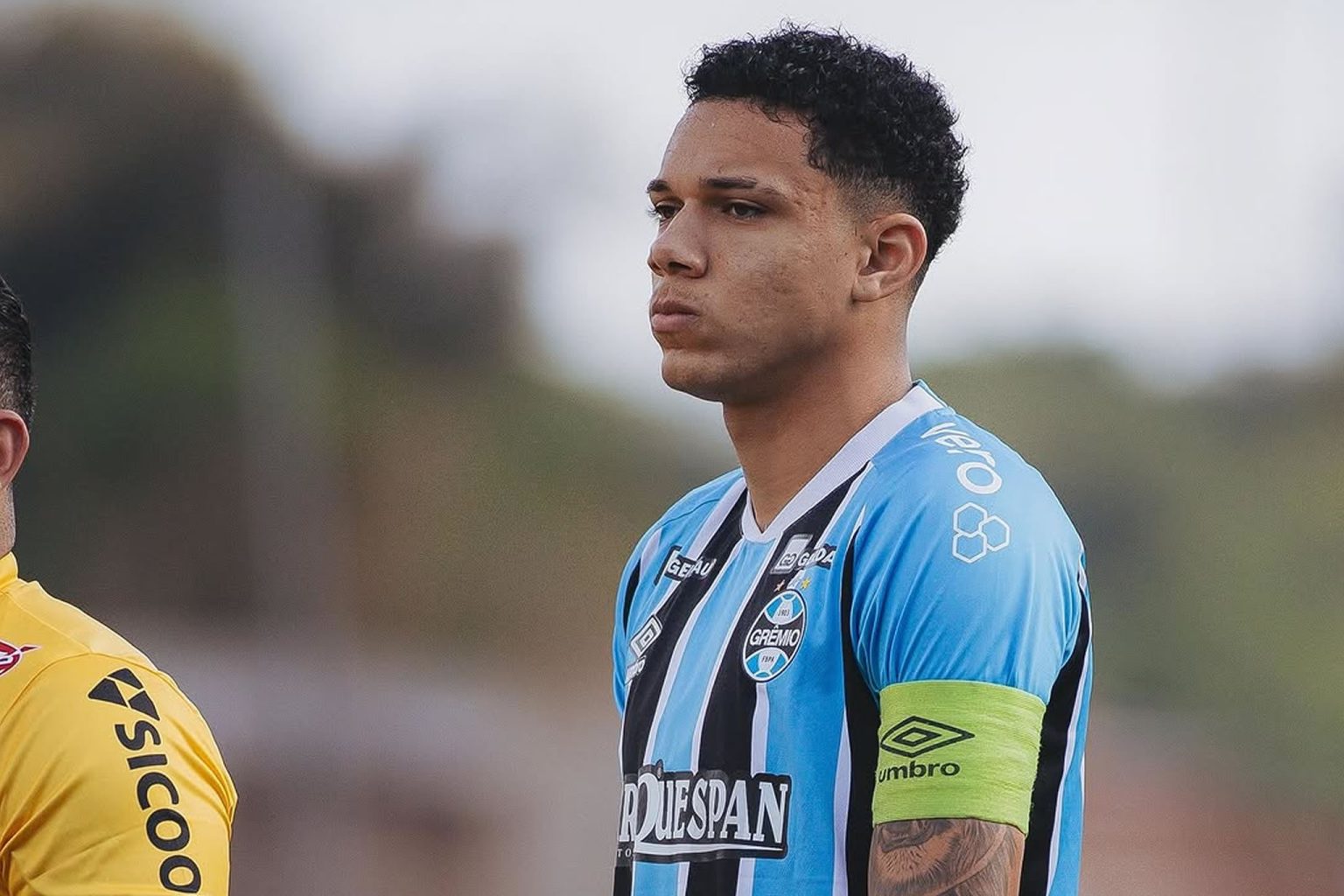 botafogo viery gremio