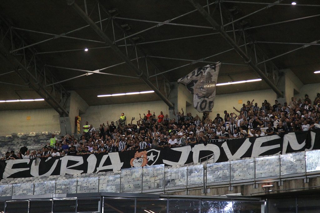 cruzeiro botafogo mineirao torcida 2