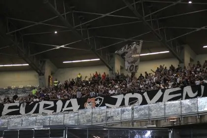 cruzeiro botafogo mineirao torcida 2