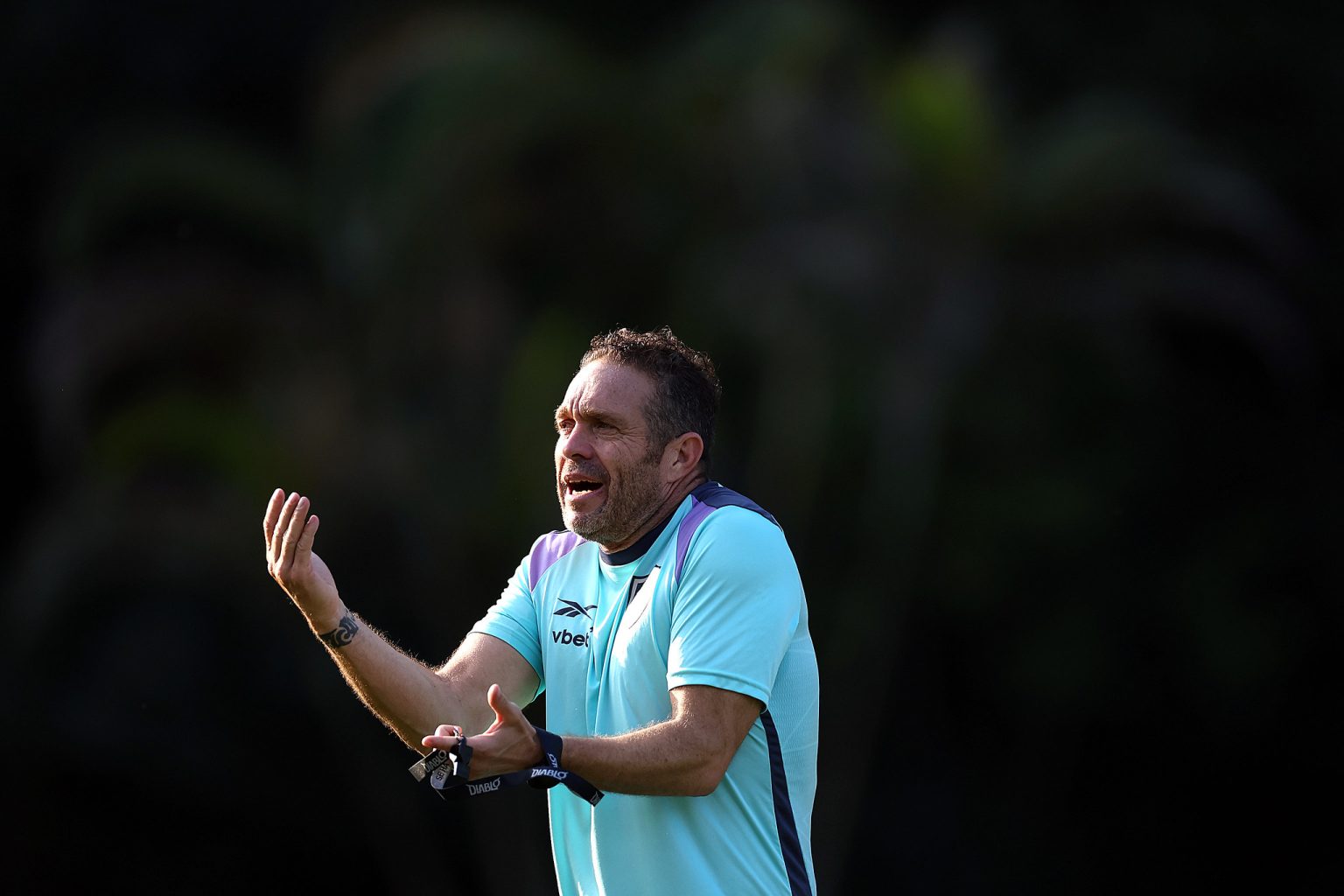 luis tevenet botafogo 2