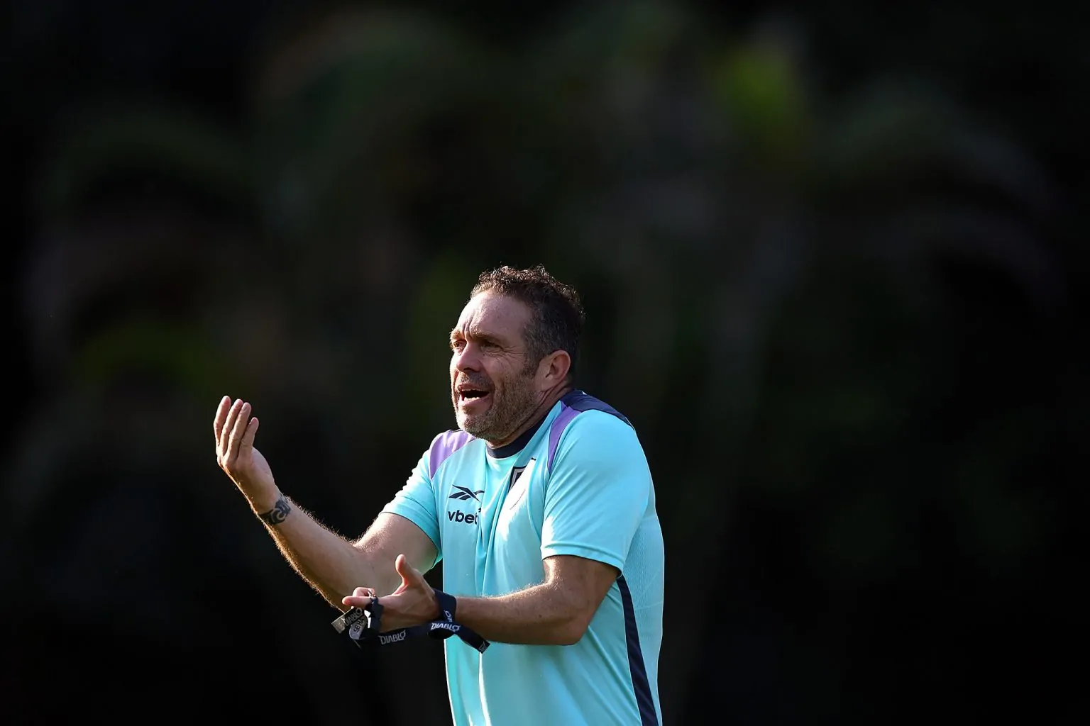 luis tevenet botafogo 2