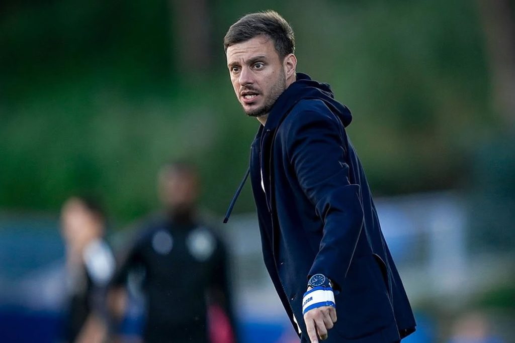 martin anselmi tecnico botafogo