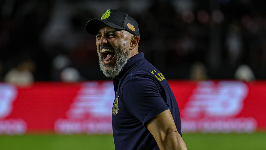 rafael guanaes mirassol botafogo 2