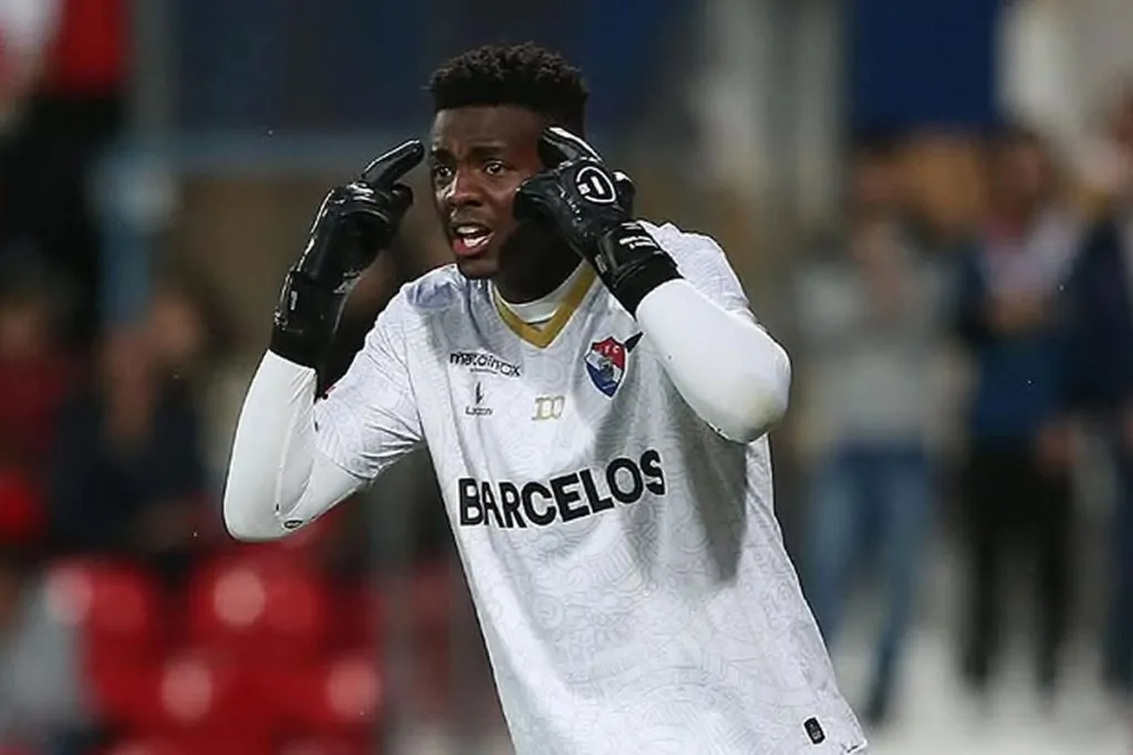 botafogo andrew goleiro gil vicente