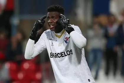 botafogo andrew goleiro gil vicente