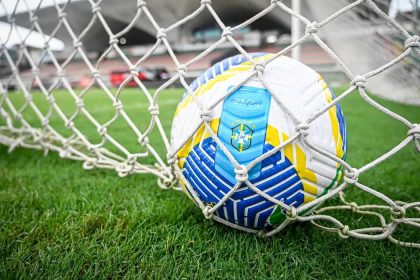 botafogo campeonato brasileiro generica