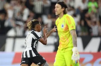 botafogo cruzeiro gol danilo nilton santos