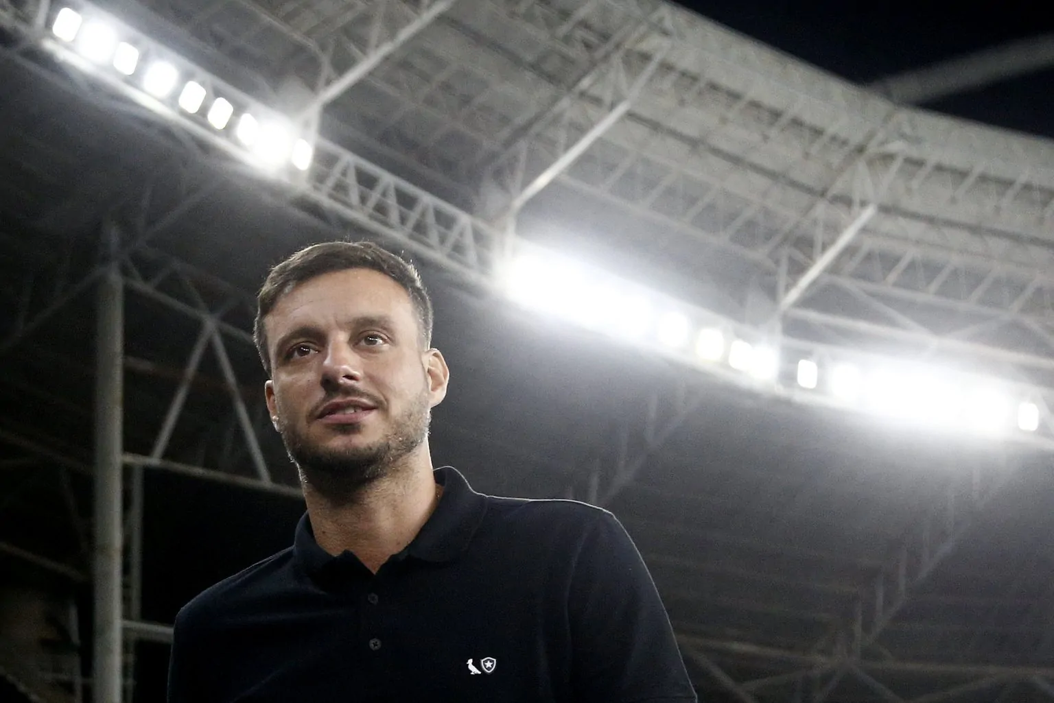 botafogo cruzeiro martin anselmi