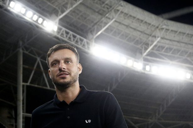 botafogo cruzeiro martin anselmi