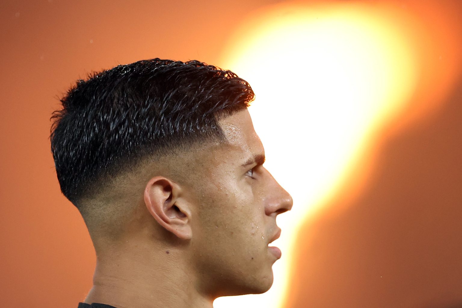 botafogo internacional david ricardo