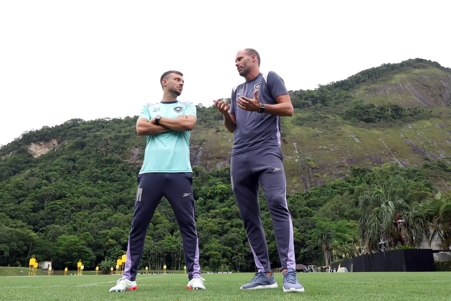 botafogo martin anselmi carli botafogo