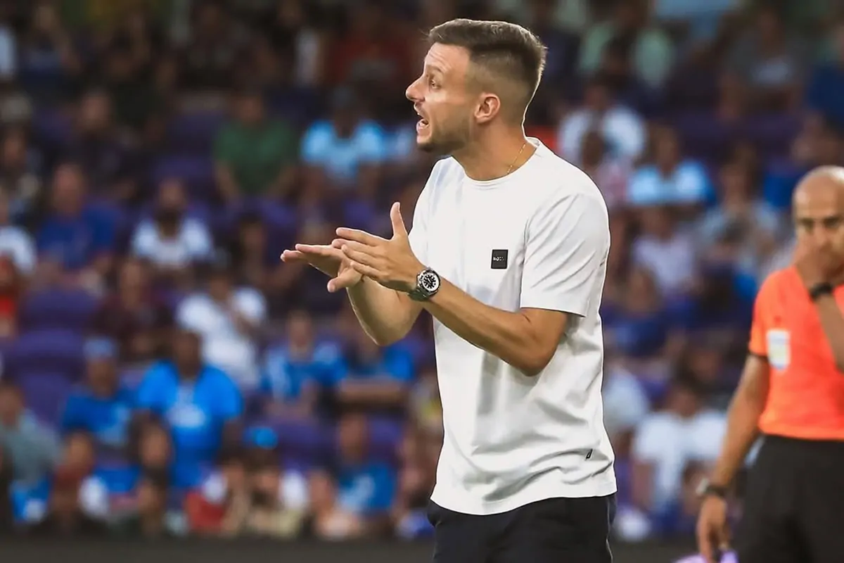 botafogo martin anselmi tecnico