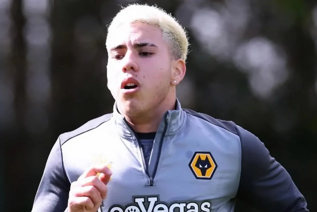 enzo gonzalez botafogo wolves