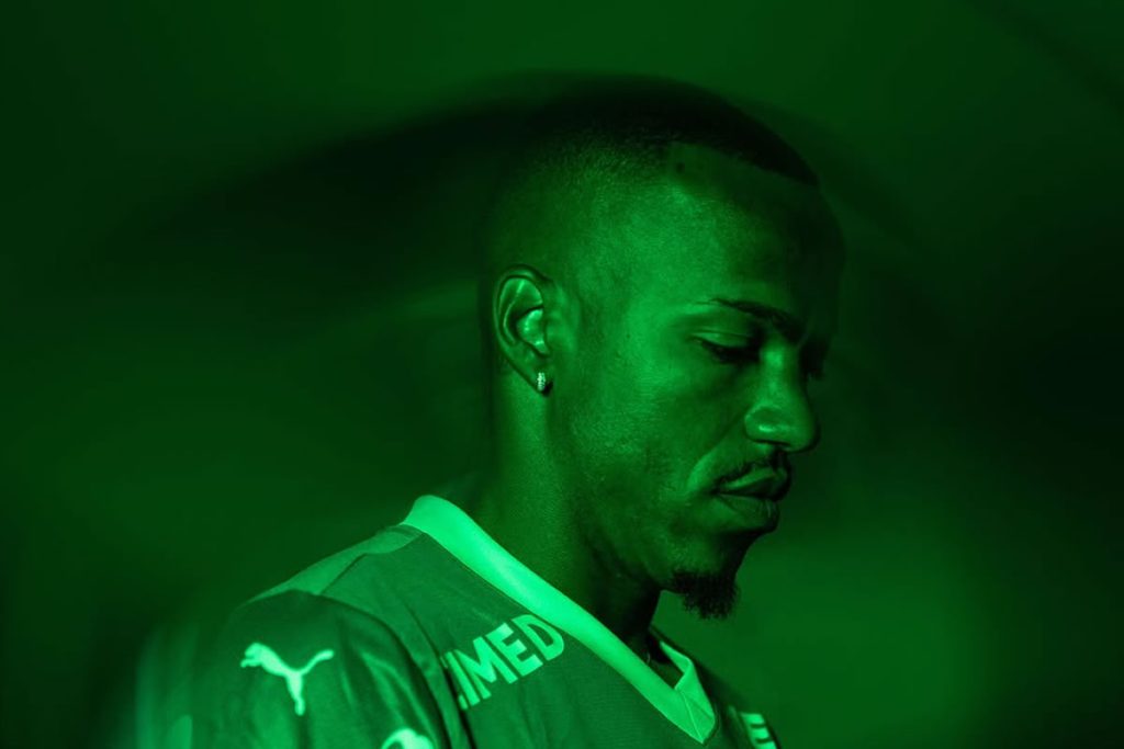 marlon freitas botafogo palmeiras 2