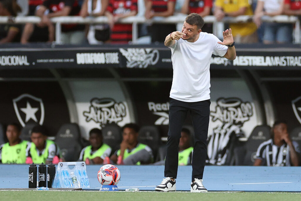 botafogo flamengo martin anselmi