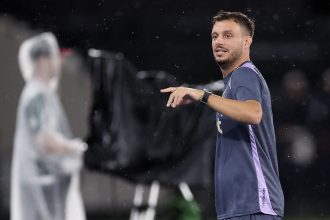 botafogo fluminense martin anselmi